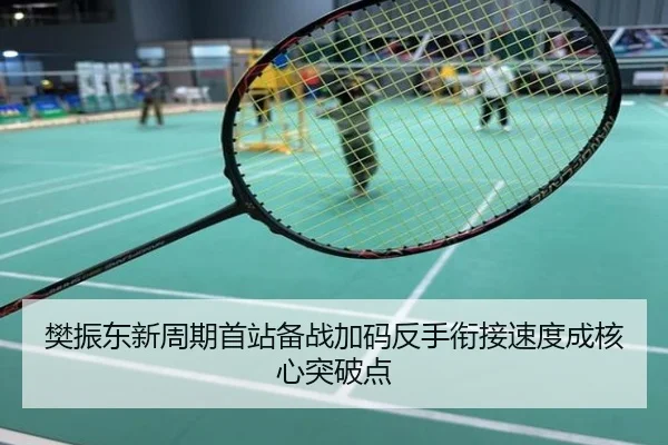 樊振东新周期首站备战加码反手衔接速度成核心突破点 - poki