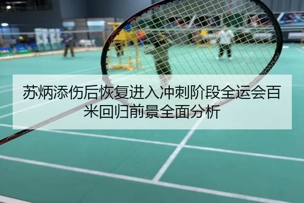 苏炳添伤后恢复进入冲刺阶段全运会百米回归前景全面分析 - poki
